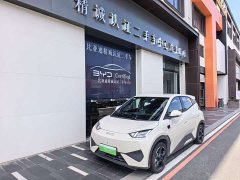 BYD Seagull Smart Driving Edition 305km Freedom Edition - ფოტო 1