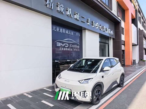 2025 BYD Seagull Smart Driving Edition 305km Freedom Edition - ავტომობილი ჩინეთიდან
