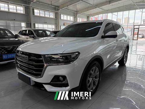 2022 Haval H6 1.5T Automatic Champion Edition - ავტომობილი ჩინეთიდან