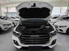 Haval H6 2021 1.5T Automatic Champion Edition - ფოტო 20