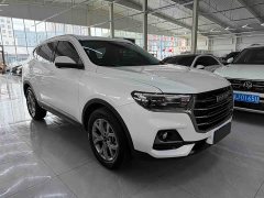Haval H6 2021 1.5T Automatic Champion Edition - ფოტო 3