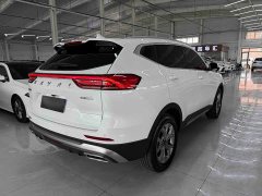 Haval H6 2021 1.5T Automatic Champion Edition - ფოტო 4