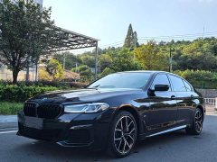 BMW 5 Series 530Li Luxury M Sport Package - ფოტო 1