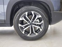 Great Wall Dachshund 2026 1.5T DCT Border Collie Edition - ფოტო 6