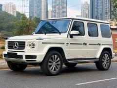 Mercedes-Benz G-Class G 500 - ფოტო 1