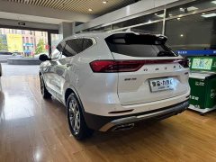 Haval H6 2021 National Trend 1.5T Automatic Champion Edition - ფოტო 6