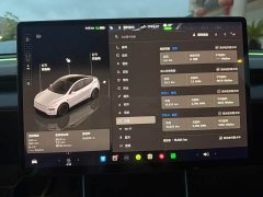 Tesla Model Y Rear-Wheel Drive - ფოტო 12