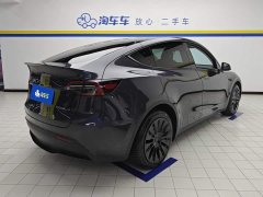 Tesla Model Y Rear-Wheel Drive - ფოტო 3