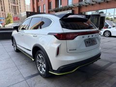 Haval Chitu Jingxiang Edition 1.5T Purple Copper Rabbit - ფოტო 8