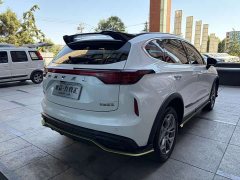 Haval Chitu Jingxiang Edition 1.5T Purple Copper Rabbit - ფოტო 9