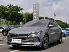BYD Destroyer 05 Glory Edition DM-i 55KM Luxury - ფოტო 1