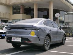 BYD Destroyer 05 Glory Edition DM-i 55KM Luxury - ფოტო 16