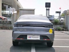 BYD Destroyer 05 Glory Edition DM-i 55KM Luxury - ფოტო 17