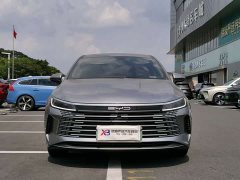 BYD Destroyer 05 Glory Edition DM-i 55KM Luxury - ფოტო 2