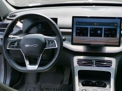 BYD Destroyer 05 Glory Edition DM-i 55KM Luxury - ფოტო 6