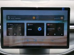 BYD Destroyer 05 Glory Edition DM-i 55KM Luxury - ფოტო 8