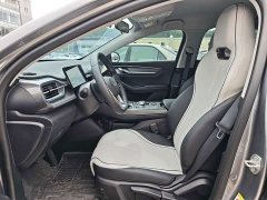 BYD Destroyer 05 Glory Edition DM-i 55KM Luxury - ფოტო 13