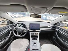BYD Destroyer 05 Glory Edition DM-i 55KM Luxury - ფოტო 15