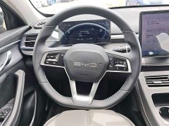 BYD Destroyer 05 Glory Edition DM-i 55KM Luxury - ფოტო 7