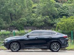 BMW X6 Facelift xDrive40i M Sport Package - ფოტო 14