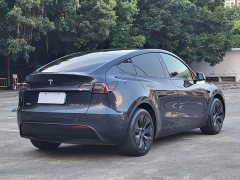 Tesla Model Y 2024 Rear-Wheel Drive - ფოტო 10