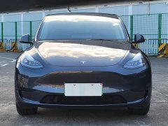 Tesla Model Y 2024 Rear-Wheel Drive - ფოტო 2