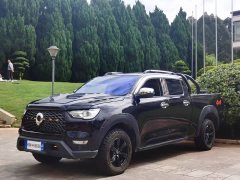 Changan Cannon 2.0T Commercial Manual Diesel 4WD Elite Long Box GW4D20M - ფოტო 1