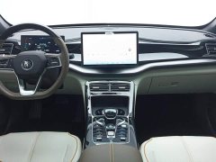 BYD Qin Plus Champion Edition DM-i 120KM Exceed - ფოტო 12