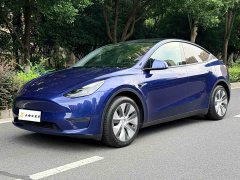 Tesla Model Y Standard Range RWD - ფოტო 1