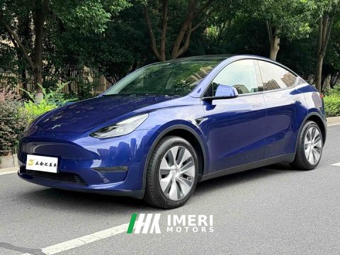 2021 Tesla Model Y Standard Range RWD - ავტომობილი ჩინეთიდან