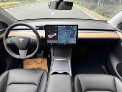 Tesla Model Y Standard Range RWD - ფოტო 13
