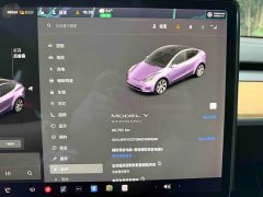 Tesla Model Y Standard Range RWD - ფოტო 18