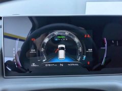 ORA White Cat 2020 305km Luxury - ფოტო 14