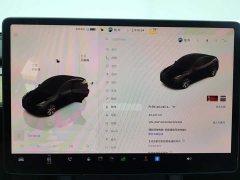 Tesla Model Y Rear-Wheel Drive - ფოტო 14