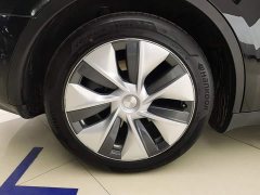 Tesla Model Y Rear-Wheel Drive - ფოტო 6