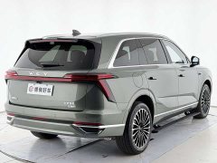 Great Wall WEY Blue Mountain Intelligent Advanced Edition Four-Wheel Drive Max - ფოტო 15