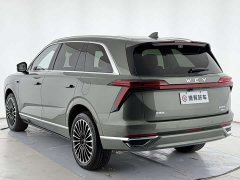 Great Wall WEY Blue Mountain Intelligent Advanced Edition Four-Wheel Drive Max - ფოტო 16
