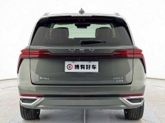 Great Wall WEY Blue Mountain Intelligent Advanced Edition Four-Wheel Drive Max - ფოტო 18