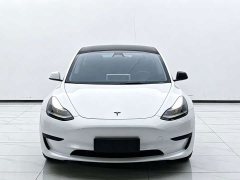Tesla Model 3 Rear-Wheel Drive - ფოტო 2