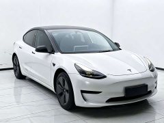 Tesla Model 3 Rear-Wheel Drive - ფოტო 3