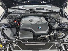 BMW 3 Series 320Li M Sport Package - ფოტო 18