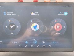BYD Seal 06 DM-i 120KM Honor Edition - ფოტო 17