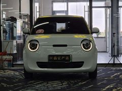 Changan Lumin 205km Xiangqin Edition - ფოტო 2