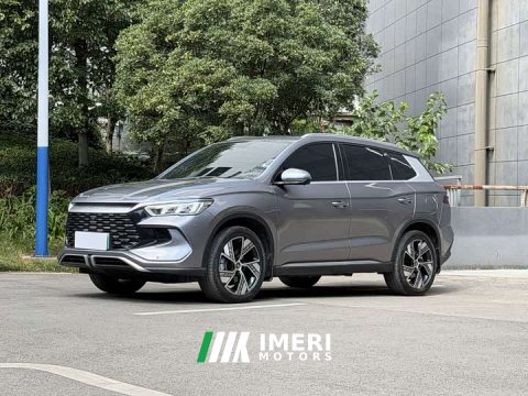 2023 BYD Song Pro New Energy Champion Edition DM-i 110KM Excellence - ავტომობილი ჩინეთიდან