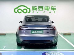 Tesla Model 3 High Performance All-Wheel Drive - ფოტო 17