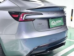 Tesla Model 3 High Performance All-Wheel Drive - ფოტო 19