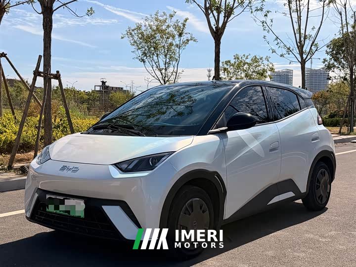 BYD Seagull Glory Edition 305km Vitality Version - ავტომობილი ჩინეთიდან