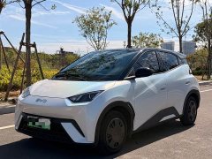 BYD Seagull Glory Edition 305km Vitality Version - ფოტო 1