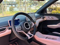 BYD Seagull Glory Edition 305km Vitality Version - ფოტო 10