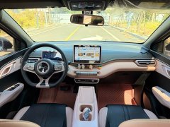 BYD Seagull Glory Edition 305km Vitality Version - ფოტო 13
